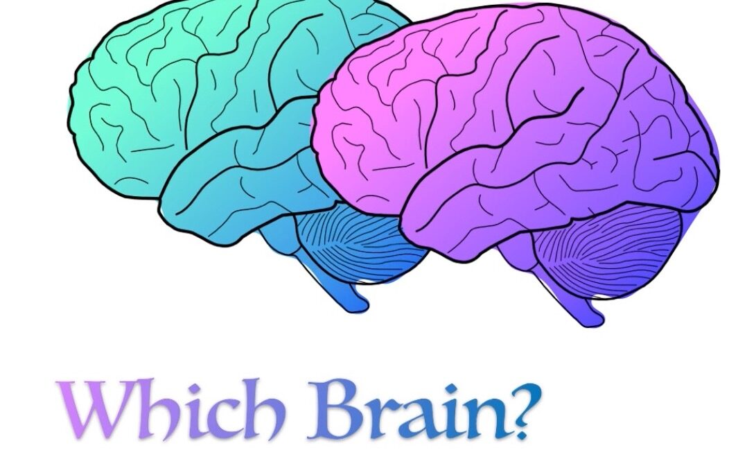 Which Brain?