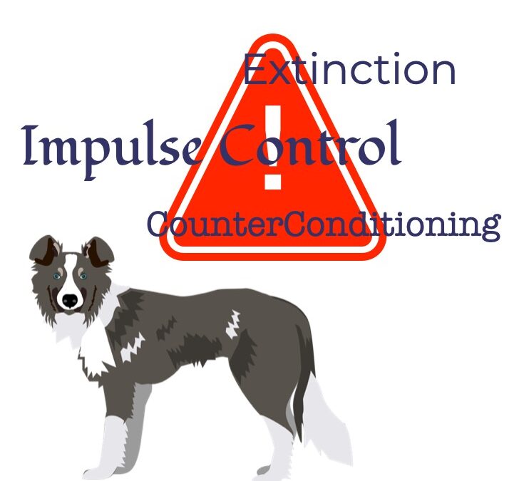 Counter conditioning