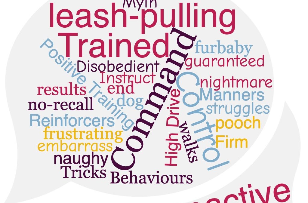 What Words Conceal